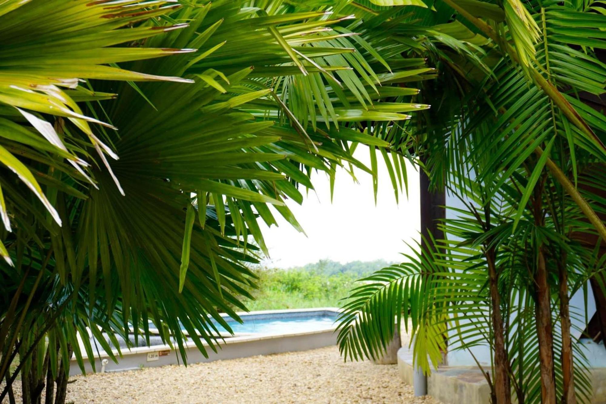 Houttuyn Wellness River Resort Paramaribo Exteriör bild